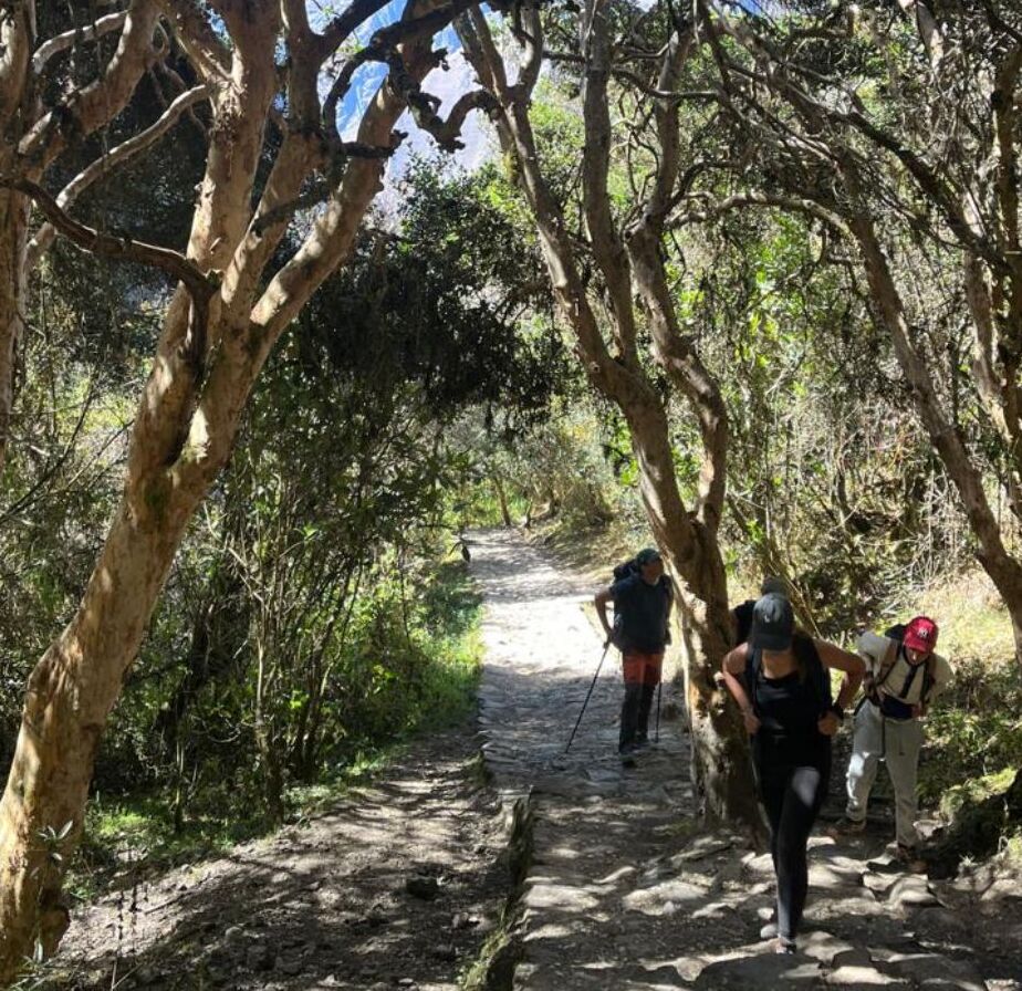 Trek Camino Inca