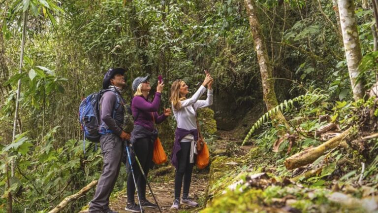 Qué esperar del Camino Inca antes de reservar