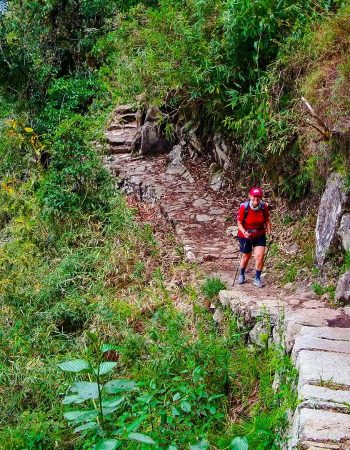 Inca Trail trek